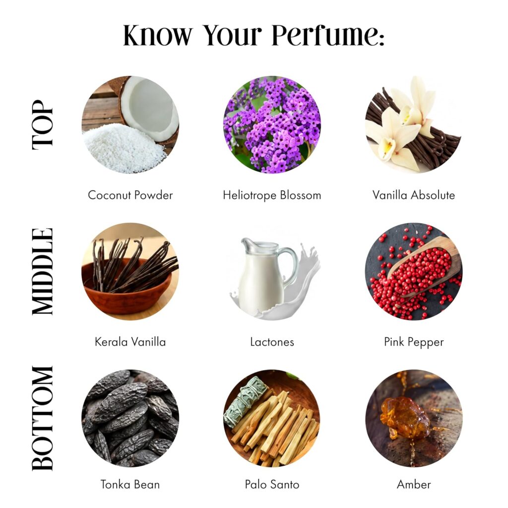 perfume-top-heart-base-notes-guide
