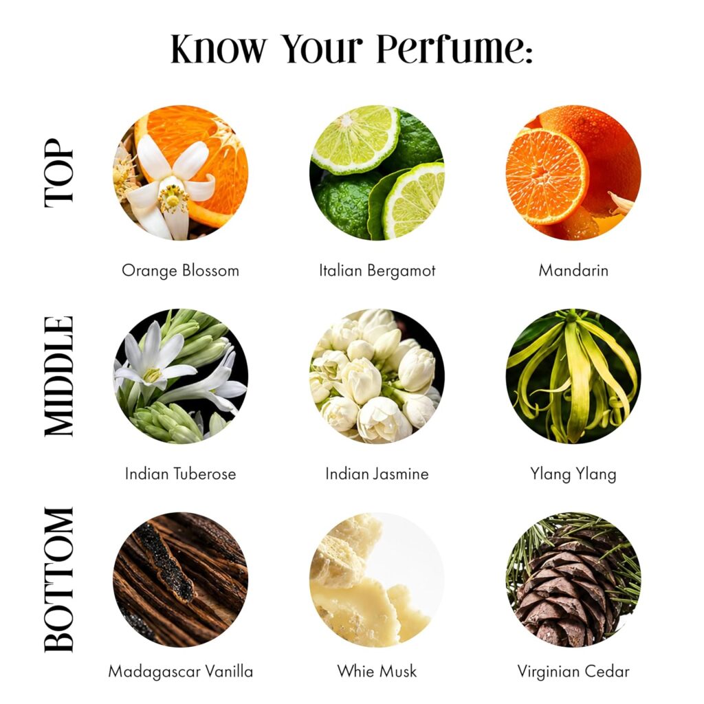 Different perfume scent families for women including floral vanilla fruity and woody